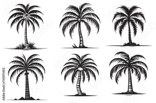 Palm Tree Icon