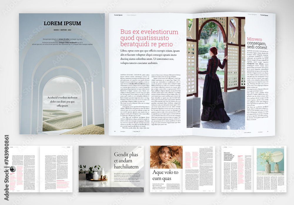Organized and Professional Magazine Stock Template | Adobe Stock