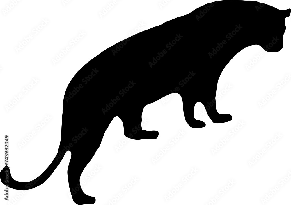 black leopard Silhouette png Vector Illustration. PNG on transparent background(png) black leopard Silhouette png Vector Illustration. PNG on transparent background(png)