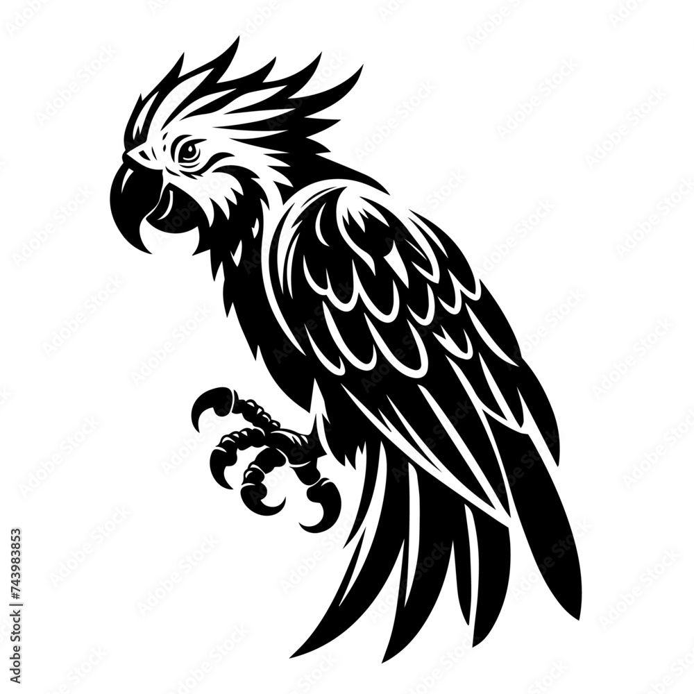 Parrot vector on a white background