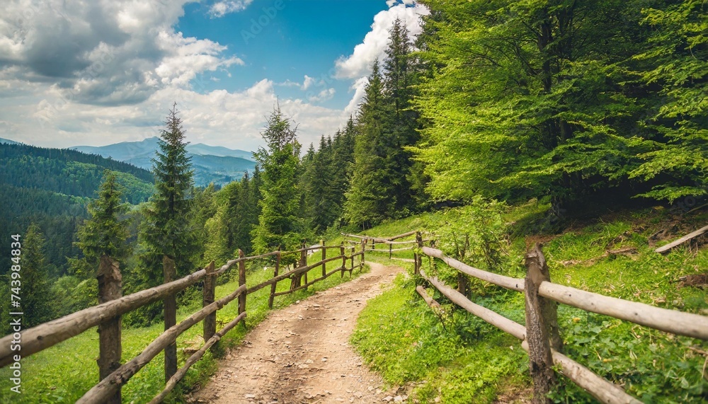 green summer scene in carpathian woods outdoor scenery with trail and wooden fence in the forest
