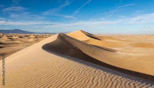 sand dunes in the desert