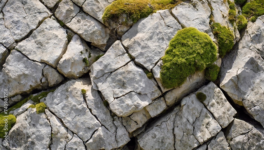 rough natural texture of a grey limestone with cracks and moss