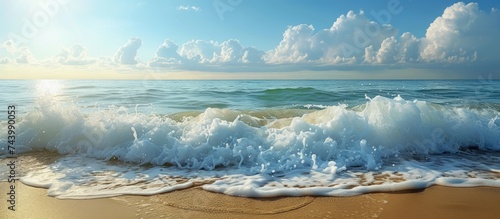 shore breaking wave. with c...