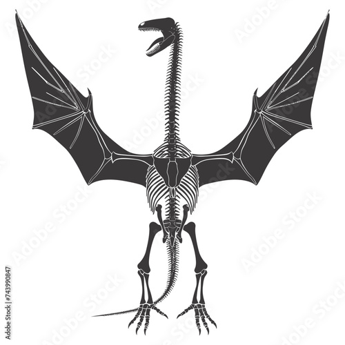 Silhouette Dinosaur Pterodactyl skeleton black color only