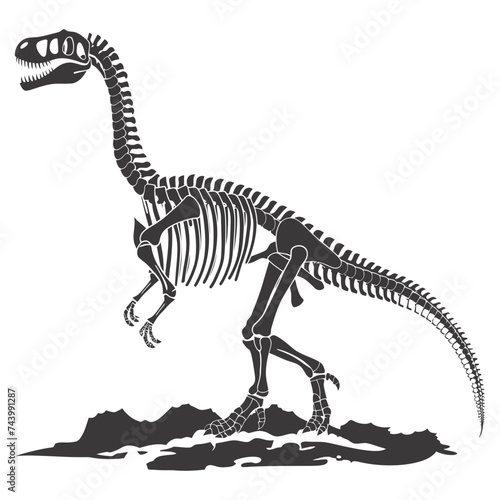 Silhouette Dinosaur skeleton black color only