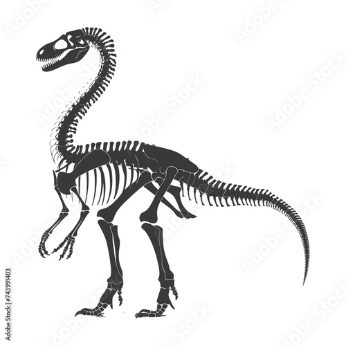 Silhouette Dinosaur skeleton black color only © NikahGeh