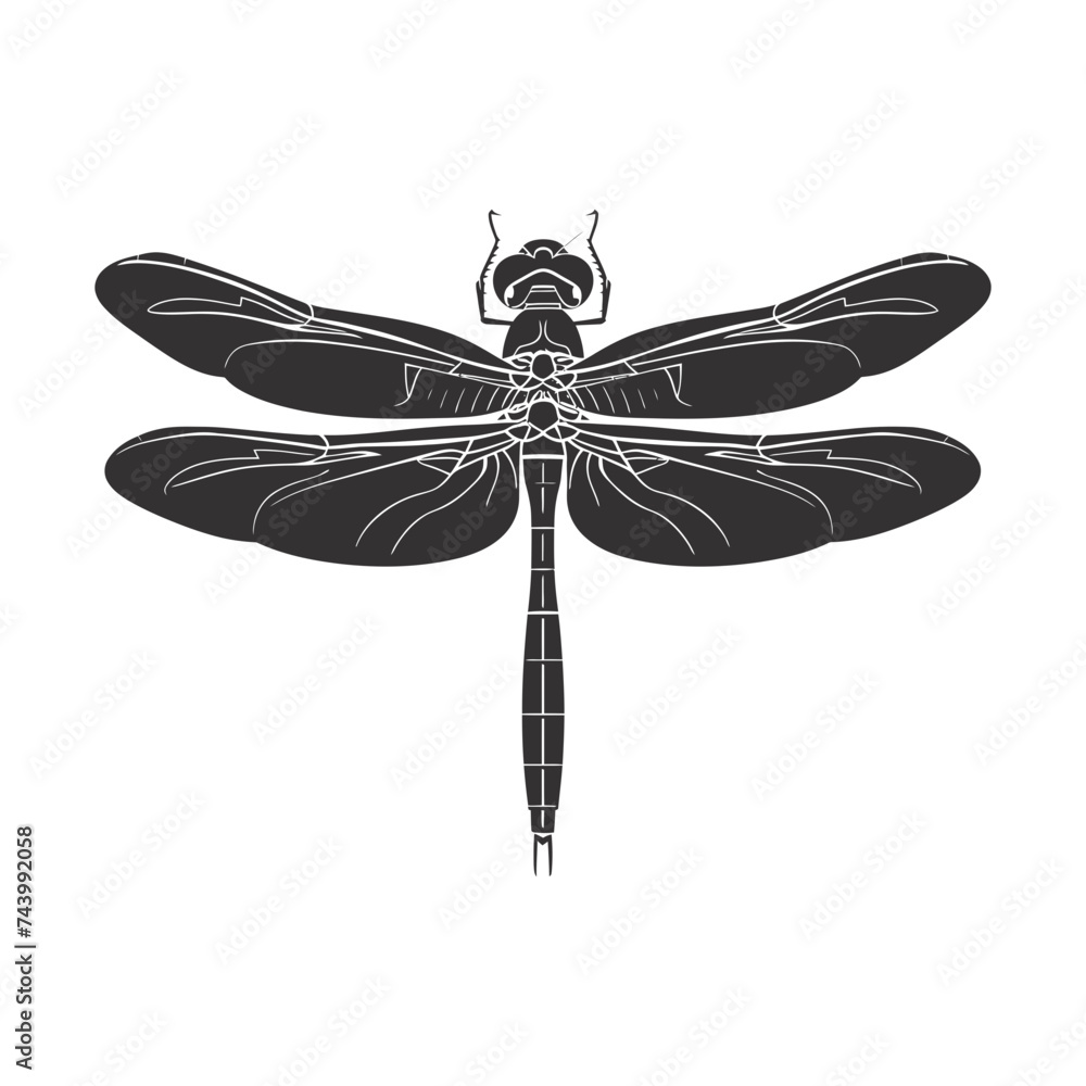 Silhouette Dragonfly black color only full body Silhouette Dragonfly black color only full body