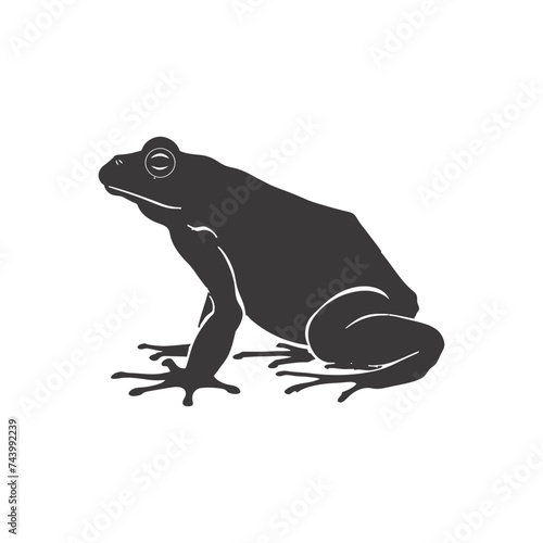 Silhouette frog black color only full body