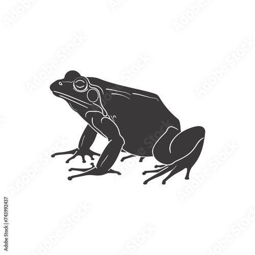 Silhouette frog black color only full body photo