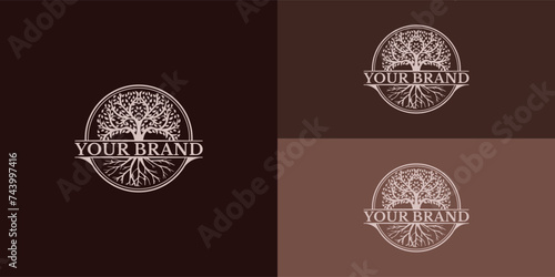 Illustration of luxury Oak tree logo design vintage vector template in soft gold color presented with multiple brown background colors. The logo is suitable for nature business logo design inspiration
