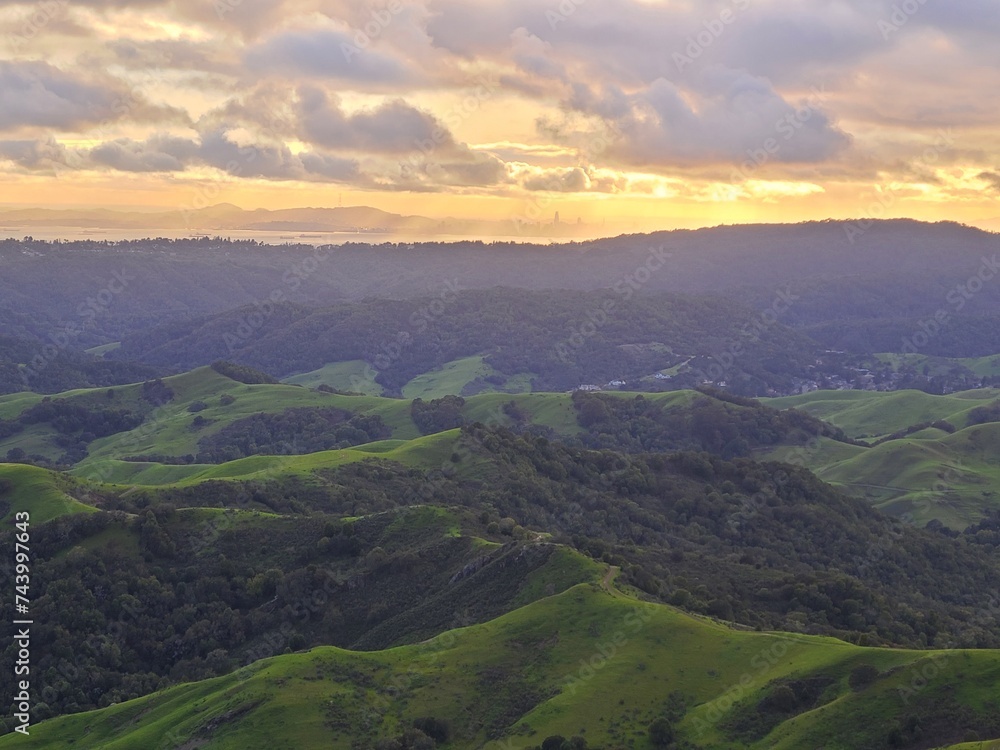 A scene after the rains in the East Bay hills of Northern California