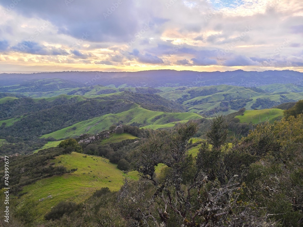 Spring evening in the East Bay Hills of Northern California