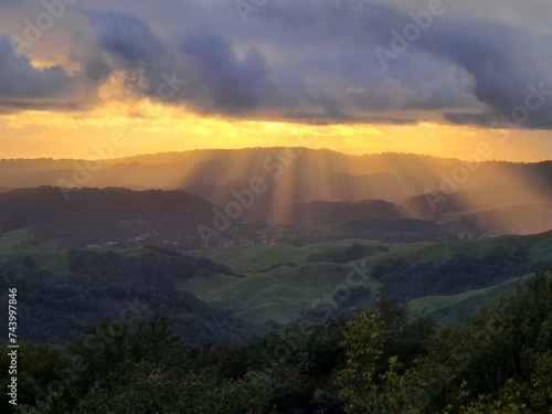 A scene after the rains in the East Bay hills of Northern California