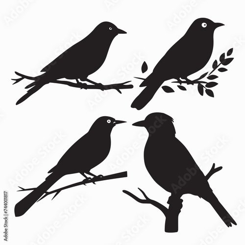 Black bird silhouettes. vector elements with fully editable © Abdur Razzak ID: #52