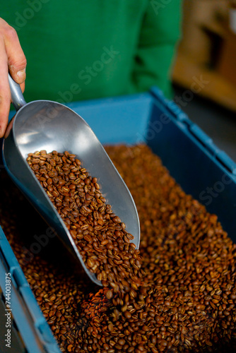 close-up at a coffee roasting factory worker scoops coffee with a shovel