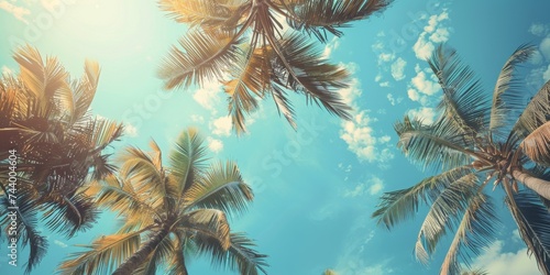 palm trees against a blue sky, bottom view Generative AI