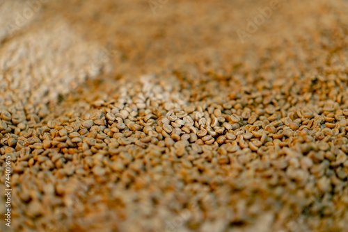 close-up of a coffee roasting factory selecting the best green coffee for roasting