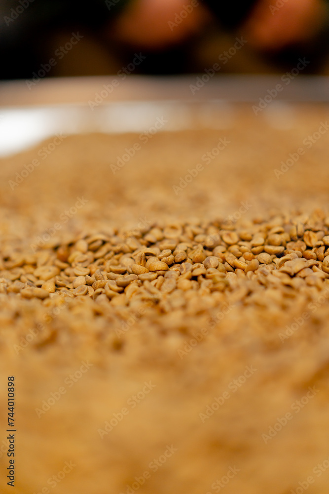 Obraz premium close-up of a coffee roasting factory selecting the best green coffee for roasting