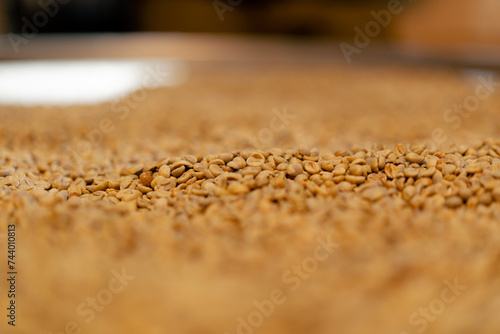 close-up of a coffee roasting factory selecting the best green coffee for roasting