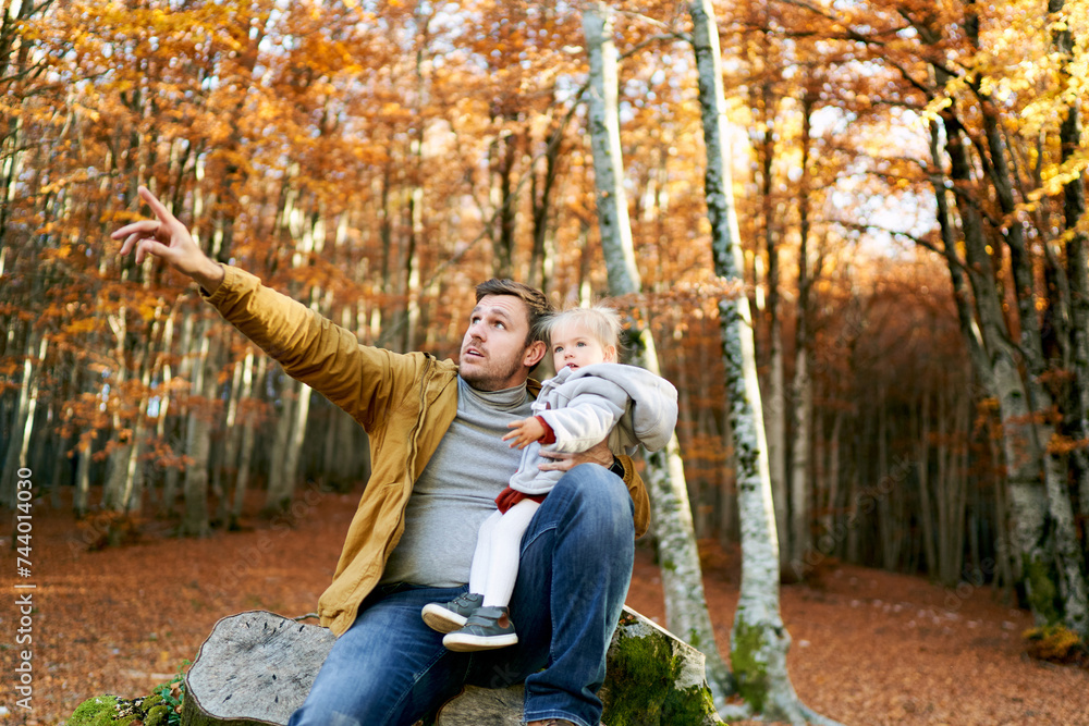 Dad sitting with a little girl in his arms on a stump points her finger at the trees in the autumn forest
