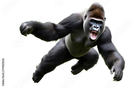 a high quality stock photograph of a single jumping happy gorilla isolated on a white background