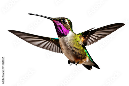 a high quality stock photograph of a single flying happy hummingbird isolated on a white background