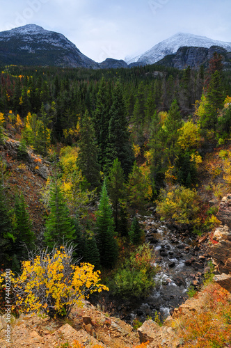 A mountain river on a forested valley surrounded by early fall foliage and snow-dusted peaks on the way to Bear Lake, Rocky Mountain National Park, Estes Park, Colorado, USA.