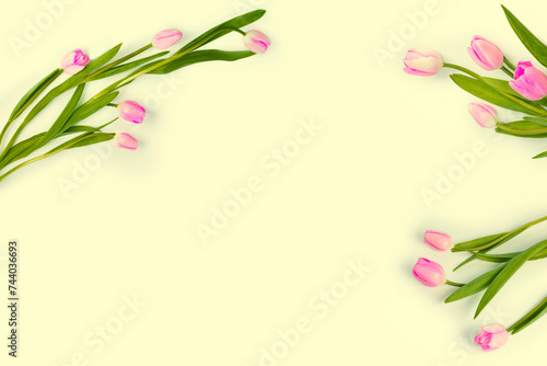 bouquet. Beautiful tulip flowers on colorful background