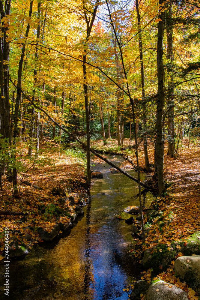 Obraz premium A meandering stream in Hudson, Quebec.