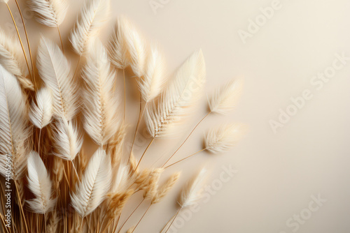 Dry flowers, dried branch on beige background. Flat lay, top view, copy space