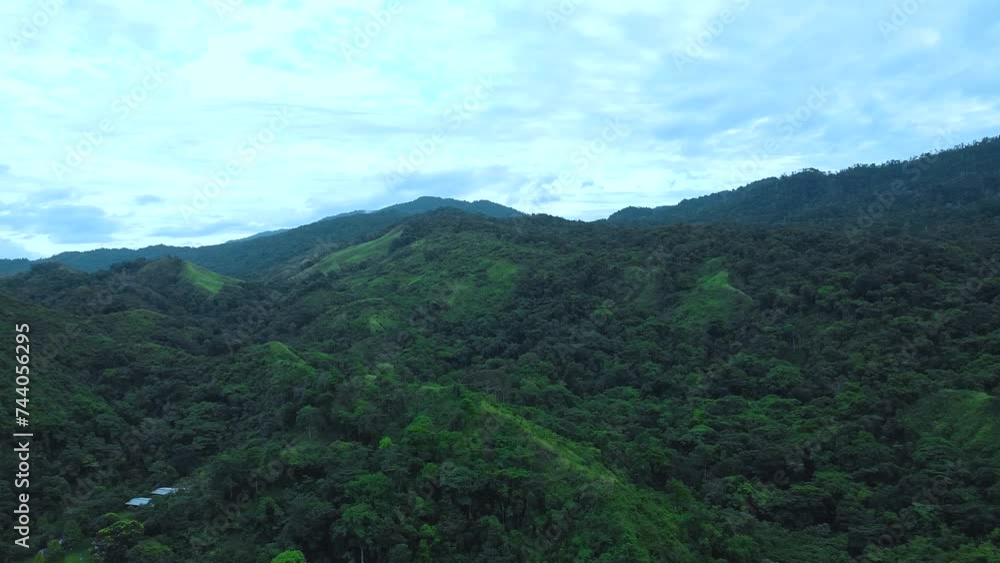 Scenic aerial view of misty tropical jungle in South America. Drone shot of pristine rainforest in Venezuela Scenic aerial view of misty tropical jungle in South America. Drone shot of pristine rainforest in Venezuela
