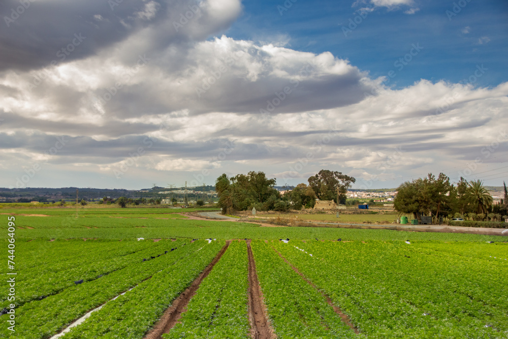 Naklejka premium Vega Baja del Segura - Los Montesinos - Una visita al centro de Los Montesinos y a la zona de La Marquesa uno de los muchos senderos de este pueblo.