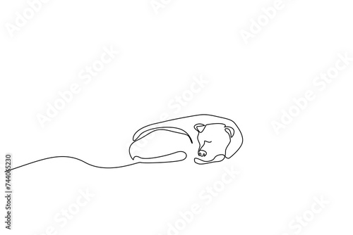 stray dog sleeping outside calm alone one line art design