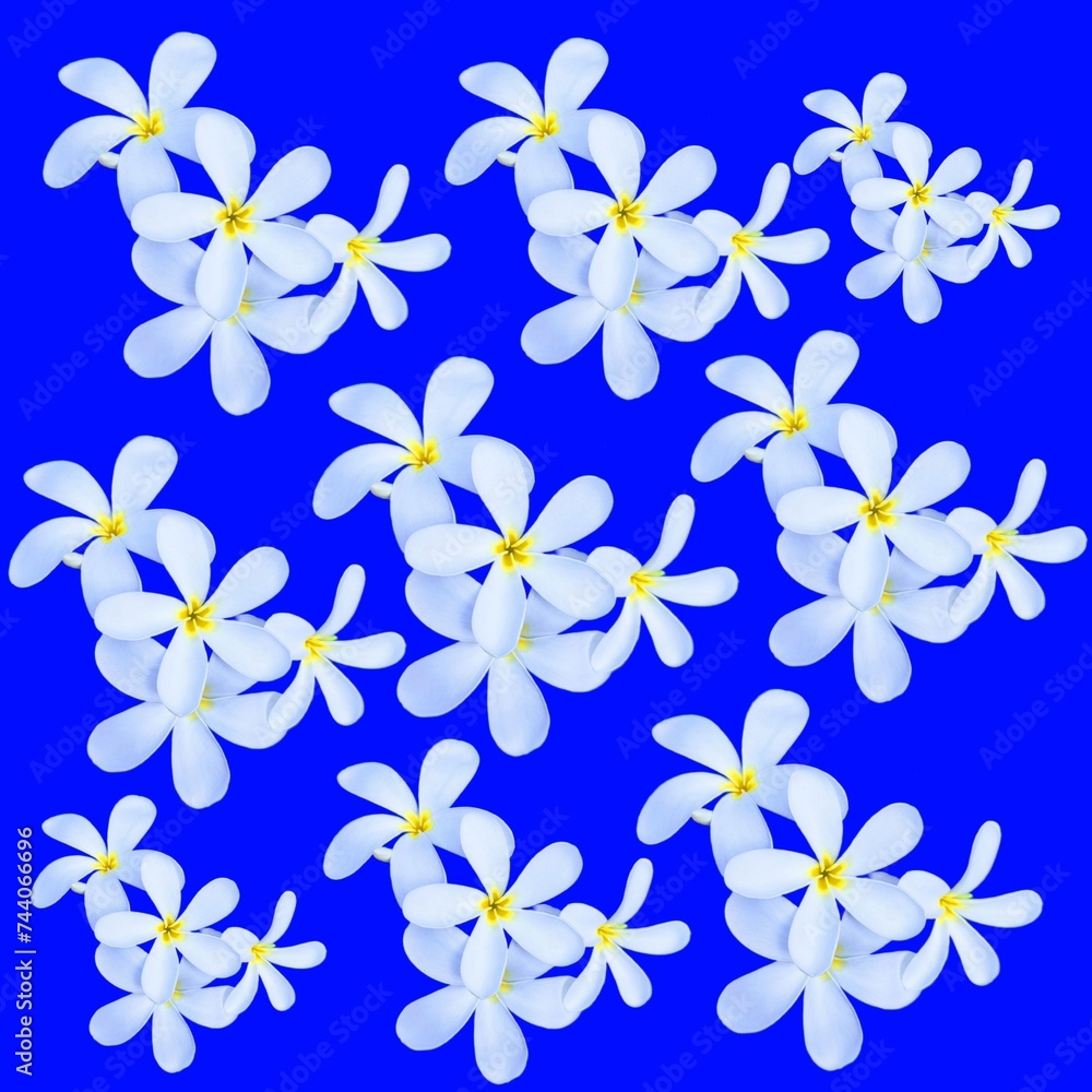 blue background with flowers blue background with flowers