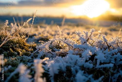 Twilight Scenery: Ice Crystals on Moss in a Serene Outdoor Landscape