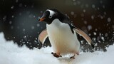  a penguin is standing in the snow with it's head turned to the side and it's head turned to the side and it's head is slightly to the side.