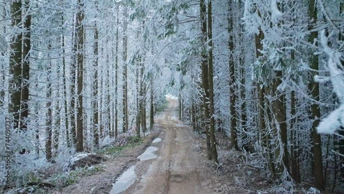 River winter forest nature tree ice outdoor season weather snow photo