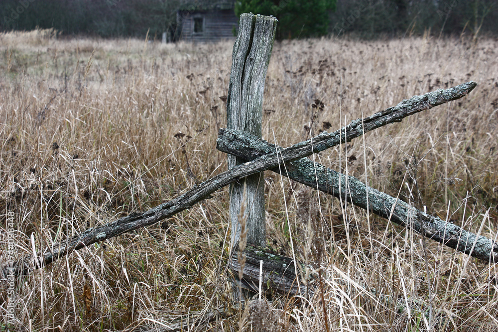 Fototapeta premium Late autumn. Among dry wild-growing plants there are remains of a rural wooden fence. The thrown house is seen in the distance among bushes.