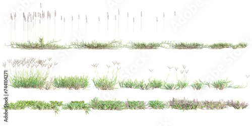 3d illustration of set grass isolated on white background stock photo