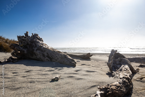 tree trunks on tauparikaka beach in new zealand photo