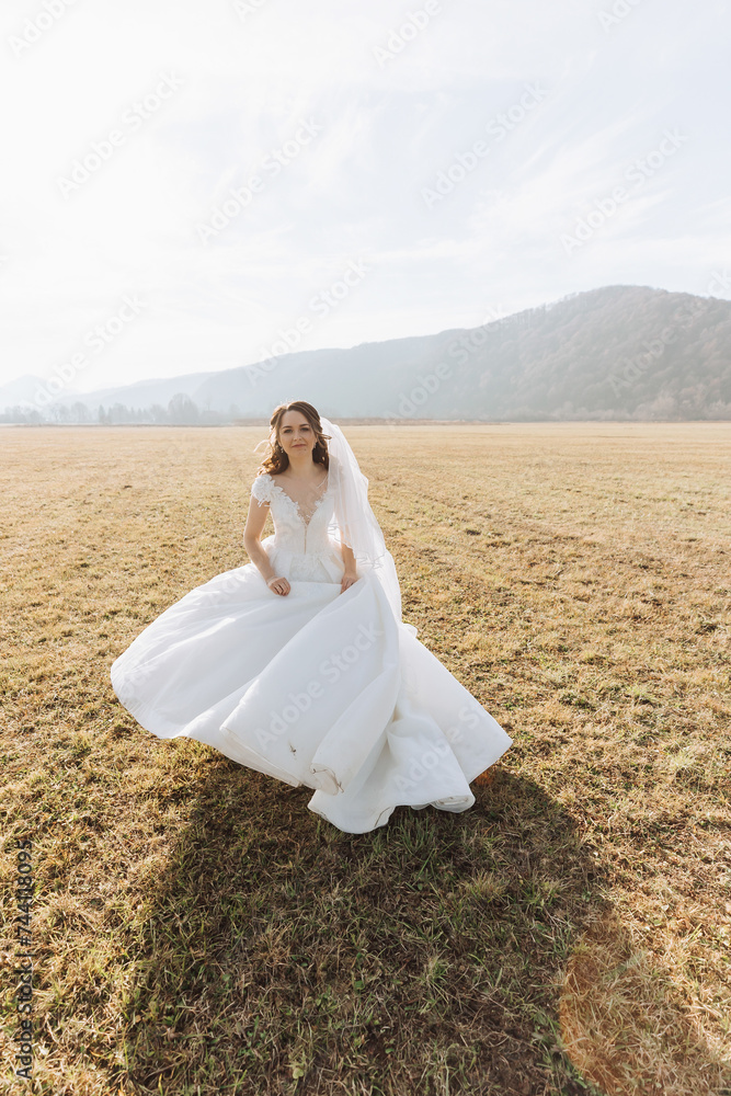 A brunette bride in a voluminous white dress, posing in a field. The veil is thrown into the air. Beautiful hair and makeup. Wedding photo session in nature. Long train of the dress