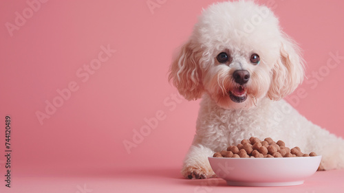 Perro caniche con plato de comida