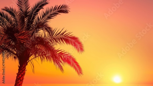 Sunset on the beach. Palm leaves. Palm trees at tropical coast  coconut tree summer vacation concept
