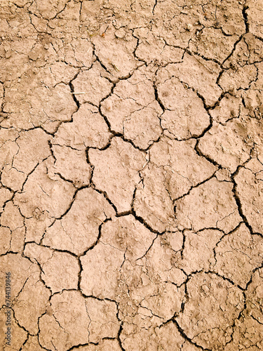 Parched brown earth, cracked like dry skin, reflects the thirst of an exhausted soil. A barren, lifeless landscape where cracks are the only decoration.