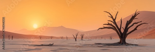 Surreal desert sunrise: tree silhouette against colorful sky