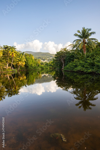 Guadeloupe, a Caribbean island in the French Antilles. Landscape and view of the Grande Anse bay on Basse-Terre. a mangrove arm directly on the river, beach