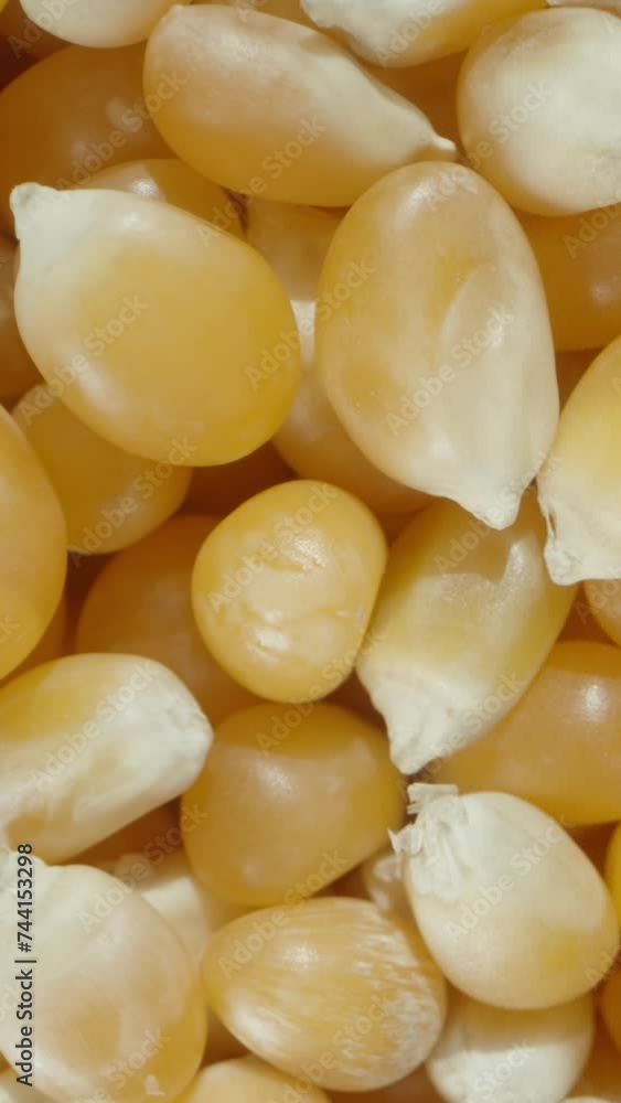 Vertical video. Popcorn kernels, macro zoom, smooth upward zoom. Vertical video. Popcorn kernels, macro zoom, smooth upward zoom.