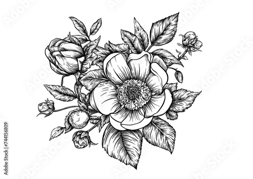 Boutonniere of wild rose flowers and berries Clip art, set of elements for design Graphic drawing, engraving style. Vector illustration. In botanical style