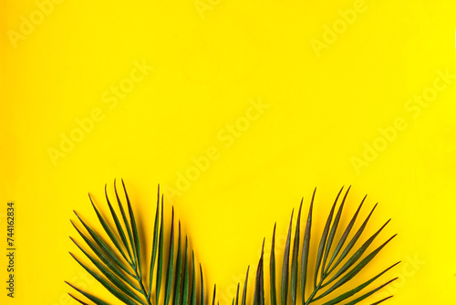 Palm tree branches on bright yellow background. Minimal concept. Copy space
